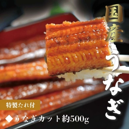 ギフト 鰻 愛知県 三河一色産 うなぎの蒲焼き タレ付 備長炭 本格炭火焼き うなぎ 半身 約500g