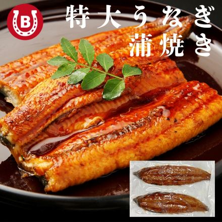 うなぎ 蒲焼き 【 超特大サイズ 2尾 】 約500g 簡易包装 自宅用 ウナギ 蒲焼 ひつまぶし お茶漬け うな重 うな丼 うなぎの蒲焼き 鰻 うな丼 特大 サイズ