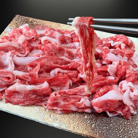 鹿児島黒牛 鹿児島牛 切り落とし 1kg (500g×2パック) 大容量 牛肉 国産