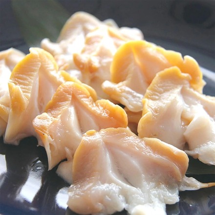 生 つぶ貝 開き 500g 肉厚 コリコリ 冷凍