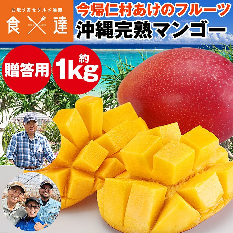 マンゴー 沖縄 完熟マンゴー 贈答用 1kg 2ー3玉 今帰仁村 ギフト あけのフルーツ アップルマンゴー アーウィン種 冷蔵便 同梱不可 指定日不可