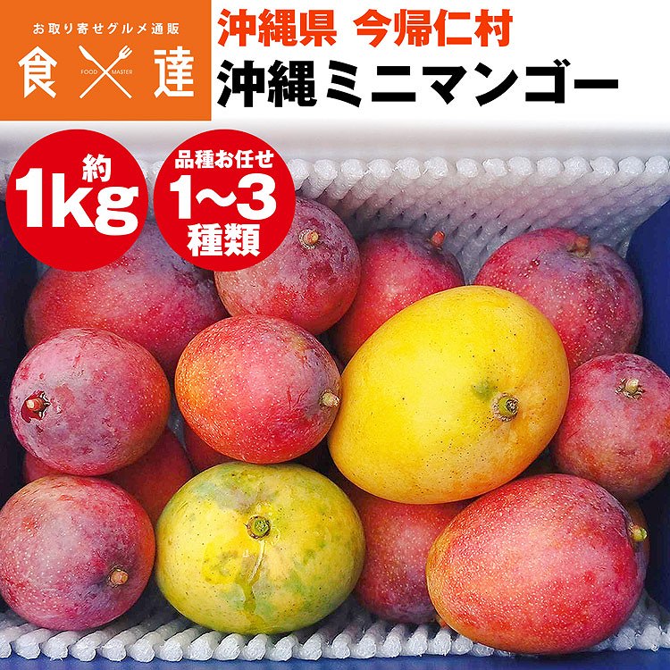 ミニマンゴー 1kg 沖縄県産 1ー3種程度 ご家庭用 マンゴー 冷蔵便 同梱不可 指定日不可