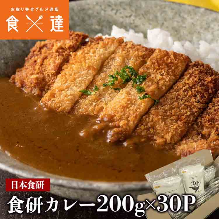 カレー レトルト 食研カレー 200g×30袋 30人前 中辛 箱売り 【業務用販売】( 湯煎 温めるだけ レトルト 日本食研 惣菜 カレー) 常温便