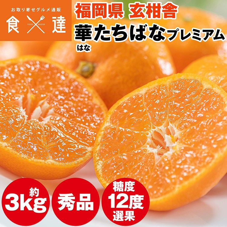 みかん 3kg 糖度12度以上 プレミアム 秀品 福岡県産 華たちばな 蜜柑 ミカン 産直 常温便 同梱不可 指定日不可