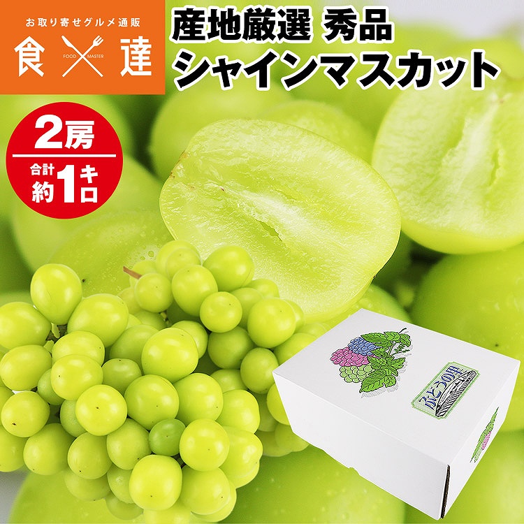 シャインマスカット 2房 1kg 秀品 ぶどう 産地厳選 贈答用 ギフト ブドウ 白ぶどう 葡萄 種無し 冷蔵便 同梱不可 指定日不可