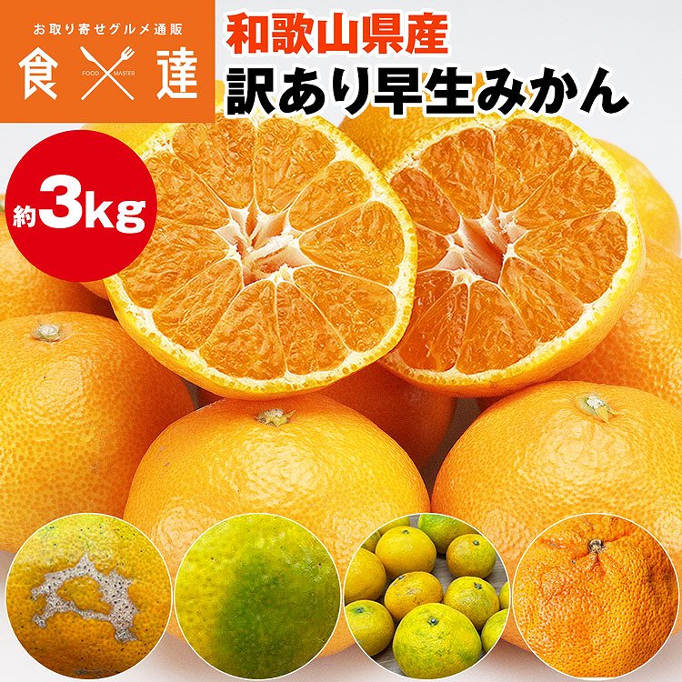 訳あり みかん 3.1kg (3kg+保証分150g程度) 和歌山県産 早生みかん 温州みかん ミカン 蜜柑 柑橘 わけあり 常温便 同梱不可 指定日不可