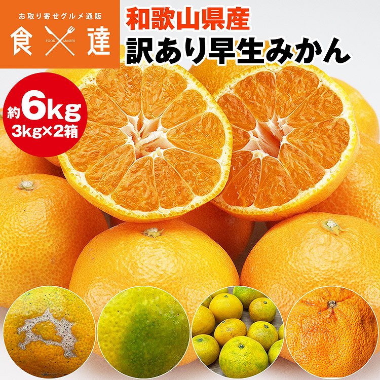 訳あり みかん 6.3kg (6kg+保証分300g程度) 3kgx2箱セット 和歌山県産 早生みかん 温州みかん ミカン 蜜柑 柑橘 わけあり 常温便 同梱不可 指定日不可