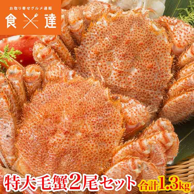 特大毛蟹2尾セット計1.3kg 1尾平均650g 毛ガニ カニ 毛蟹 かに 北海道産 ギフト プレゼント お歳暮