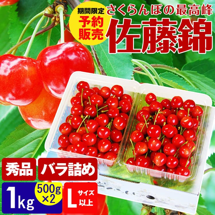さくらんぼ 佐藤錦 秀 1kg (500g×2) Lサイズ以上 バラ詰め 化粧箱入り 山形県 サクランボ さとうにしき 産直 産地直送 冷蔵便 同梱不可 指定日不可