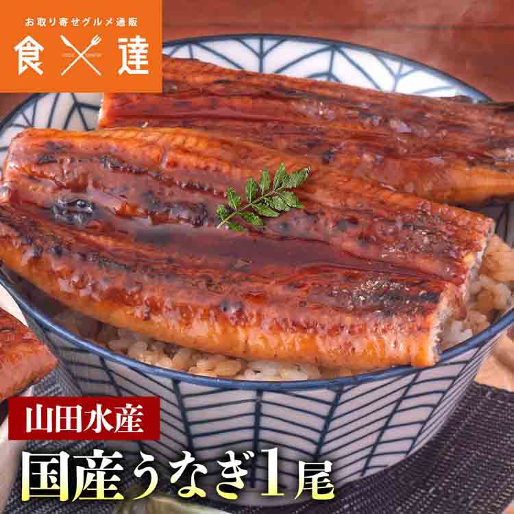 うなぎ 鹿児島県産 1尾 125g 国産 蒲焼き 長焼き 無投薬 焼き上げ 無頭 1本