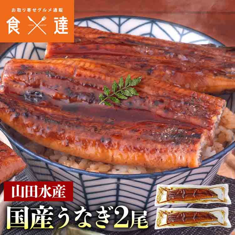 うなぎ 鹿児島県産 2尾 125g×2 国産 蒲焼き 長焼き 無投薬 焼き上げ 無頭 2本