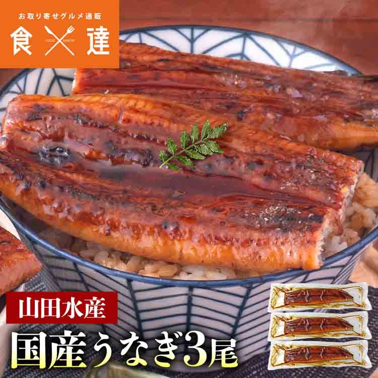 うなぎ 鹿児島県産 3尾 125g×3 国産 蒲焼き 長焼き 無投薬 焼き上げ 無頭 3本