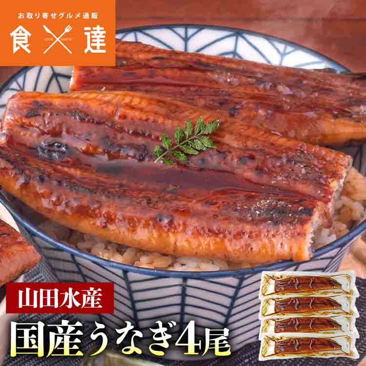 うなぎ 鹿児島県産 4尾 125g×4 国産 蒲焼き 長焼き 無投薬 焼き上げ 無頭 4本