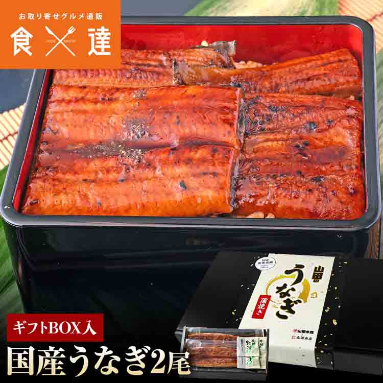 うなぎ 鹿児島県産 2尾 ギフトBO×入 125g×2 化粧箱入 国産 蒲焼き 長焼き 無投薬 焼き上げ 無頭 2本