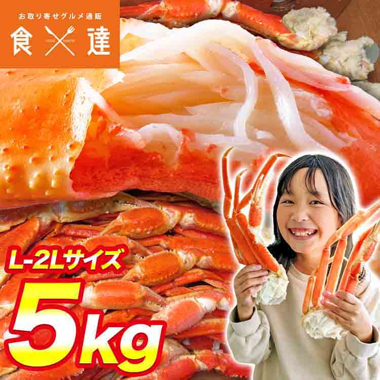 訳あり かに 蟹 特大 ボイル ズワイガニ 5kg