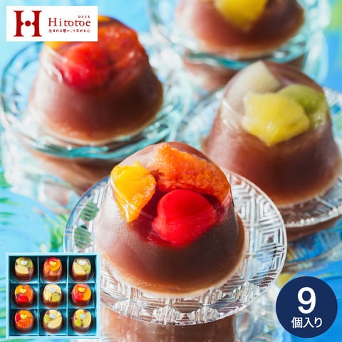 中島大祥堂 ひととえ 贅沢フルーツの水ようかん 9個入り