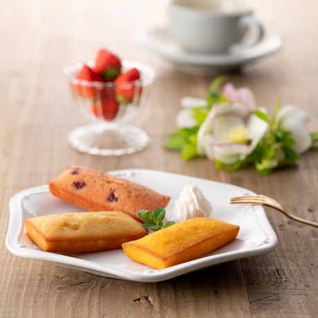 銀座千疋屋 銀座フルーツフィナンシェ　12個　PGS-167