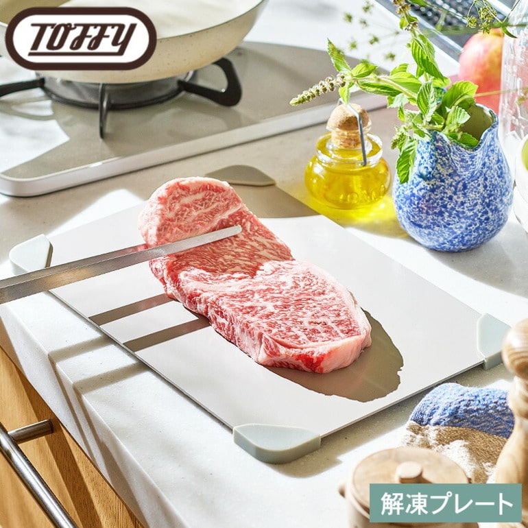 Toffy トフィー 解凍プレート K-KU23-GE
