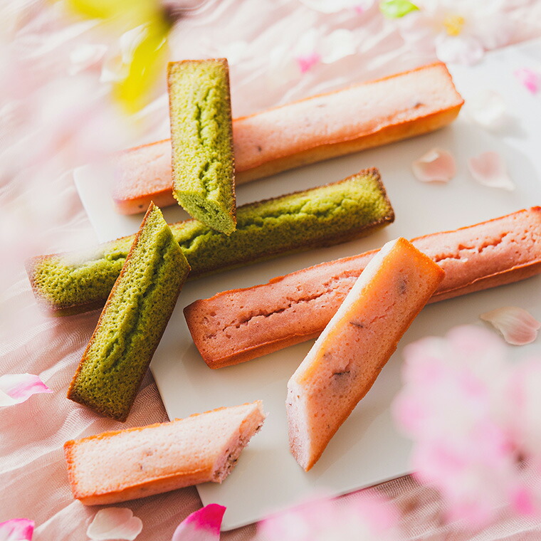 井桁堂 春のスティックケーキ 6個入