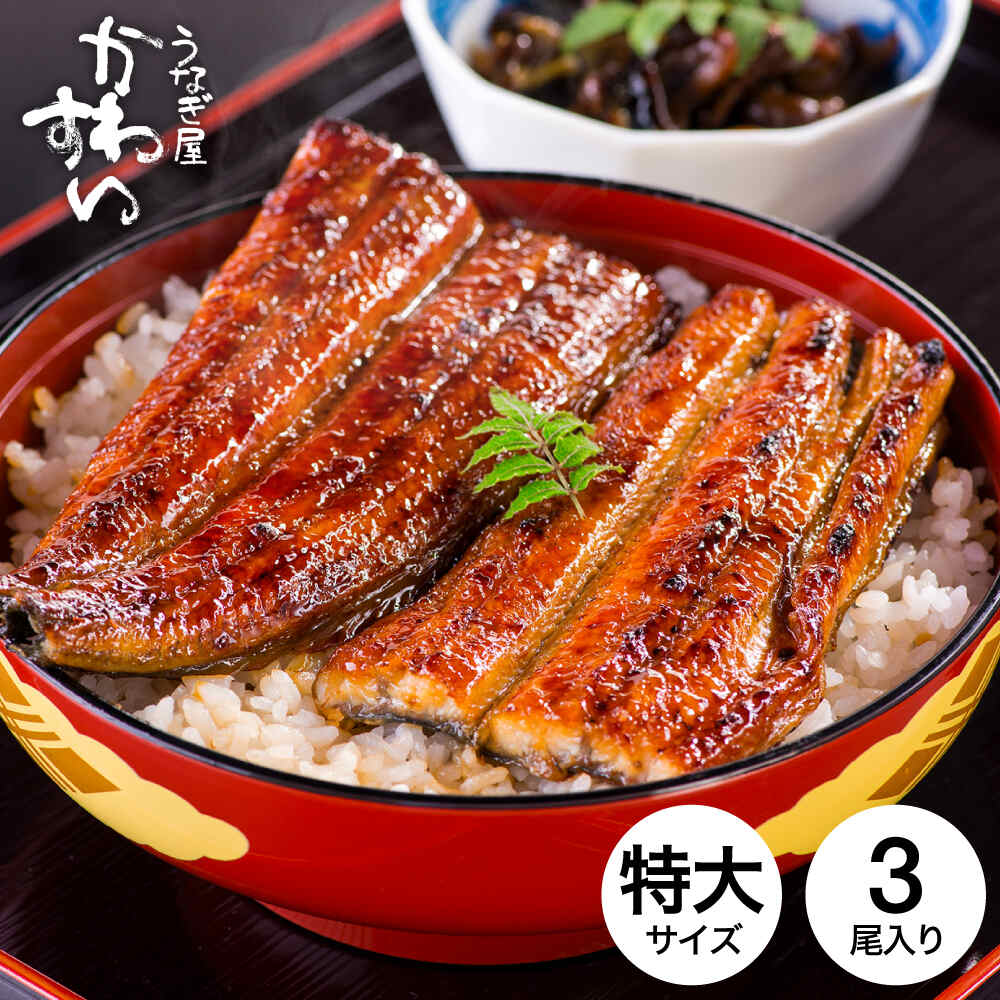 うなぎ 国産 うなぎ屋かわすい 国産うなぎ蒲焼長焼 特大 170g×3本セット メーカー直送 冷凍便
