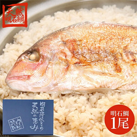 兵庫 天然明石鯛めしのもと メーカー直送