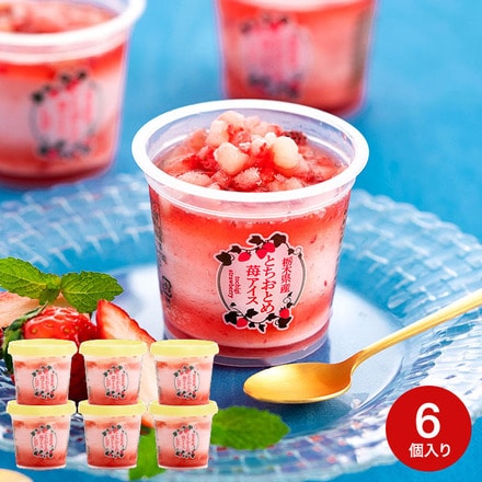 栃木県産 とちおとめ苺アイス６個 メーカー直送