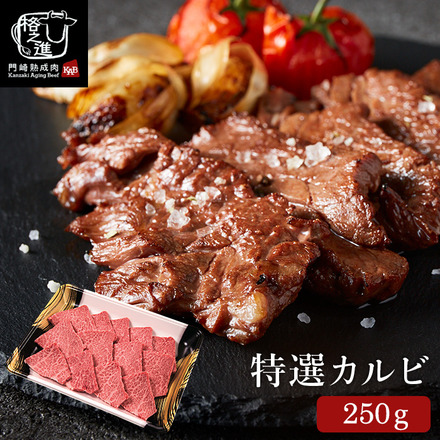 格之進 門崎熟成肉 特選カルビ（250g） メーカー直送