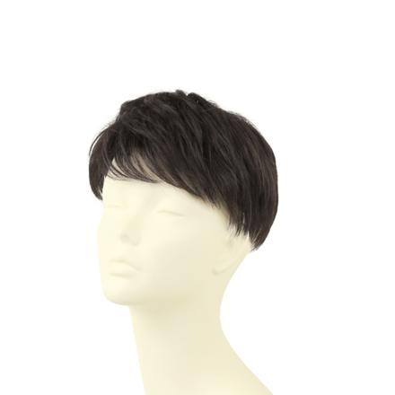 プリシラ 男性用5分ウィッグ レイヤーショート GB-22 TCK/耐熱ショコラブラック