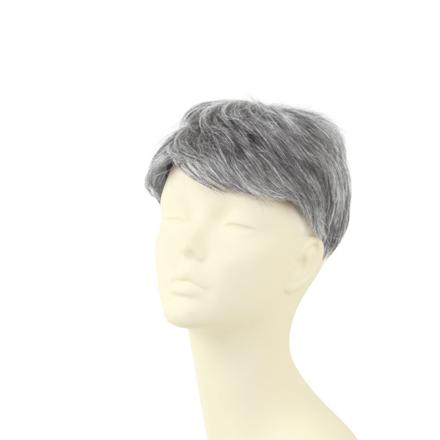 プリシラ 男性用5分ウィッグ レイヤーショート GB-22 TGH/耐熱グレイヘア