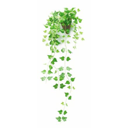 光触媒 インテリアグリーン 壁掛け 163695.アイビー