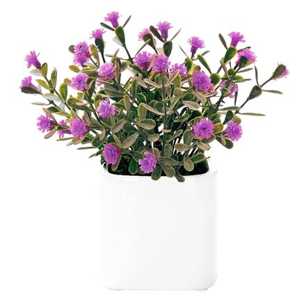 光触媒 インテリアグリーン ラウンドポット キューブポット ポット キューブ.デイジーPA