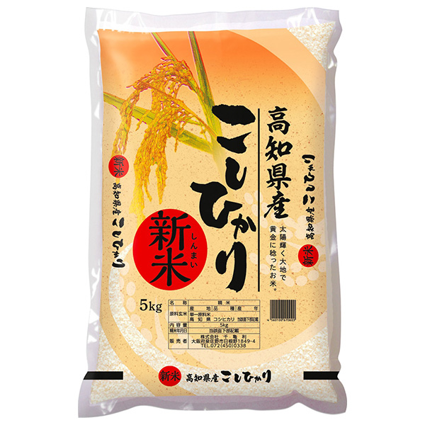 新米 千亀利 高知県産こしひかり 5kg×1袋入 令和7年産