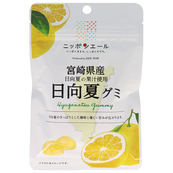 ネコポス JA全農 ニッポンエール 宮崎県産日向夏 グミ 40g×10袋入| 全国お菓子 グミ 国産 日本産 全農