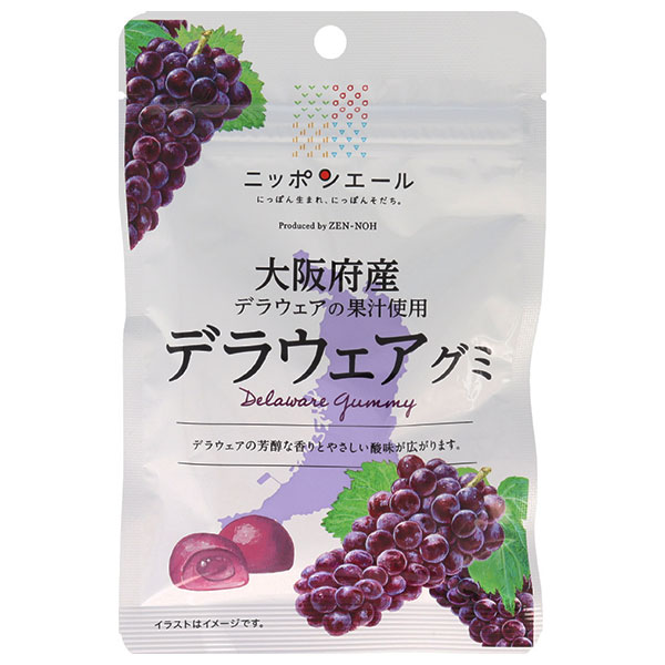 ネコポス JA全農 ニッポンエール 大阪府産デラウェア グミ 40g×10袋入| 全国お菓子 グミ 国産 日本産 全農