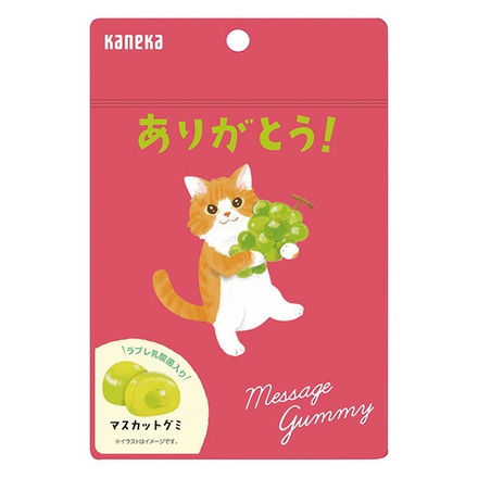 カネカ食品 メッセージグミ ありがとう マスカット 40g袋×10袋入|グミ マスカット メッセージ ありがとう