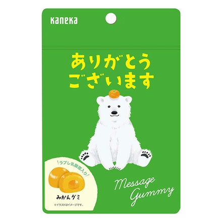 カネカ食品 メッセージグミ ありがとうございます みかん 40g袋×10袋入|グミ みかん メッセージ ありがとう