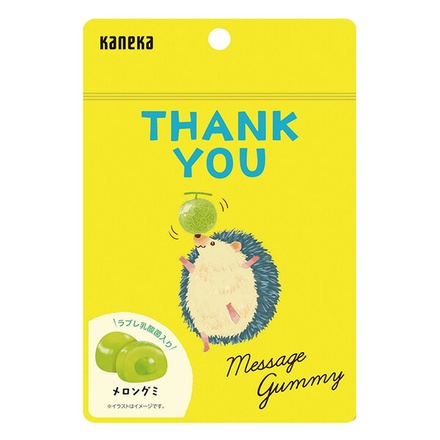 ネコポス カネカ食品 メッセージグミ THANK YOU メロン 40g袋×10袋入| 全国グミ メロン メッセージ THANK YOU ありがとう