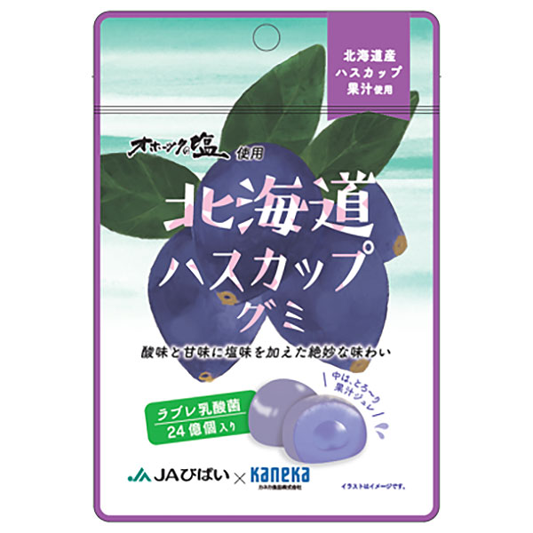 カネカ食品 北海道ハスカップグミ ラブレ乳酸菌入 40g×10袋入|お菓子 グミ 果汁 ジュレ ラブレ乳酸菌 ラブレ 乳酸菌 チャック付き 腸内環境 ハスカップ