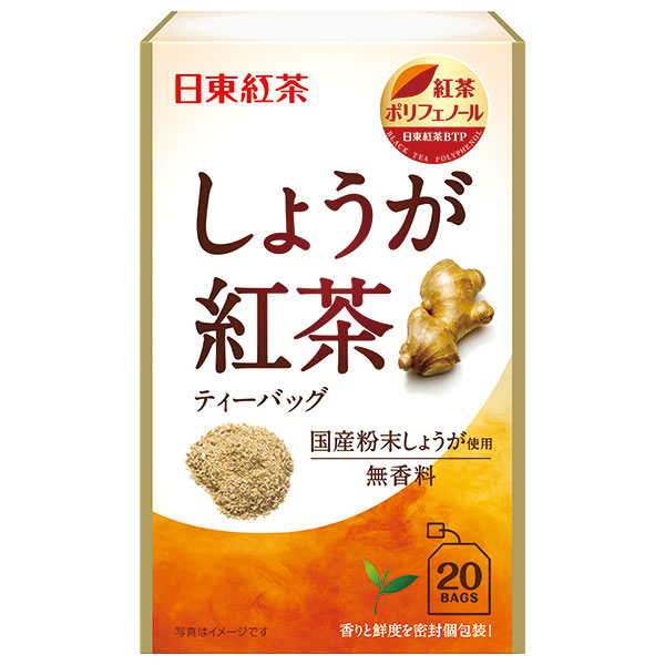 三井農林 日東紅茶 しょうが紅茶 2.2g×20袋×48袋入|紅茶 嗜好品 生姜