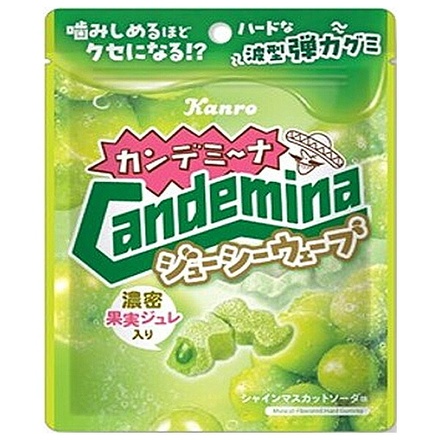 ネコポス カンロ カンデミーナグミ ジューシーウェーブ 66g×6袋入| 全国お菓子 袋 シャインマスカット味 ソーダ味 濃密ジュレ 果汁ジュレ ハードグミ