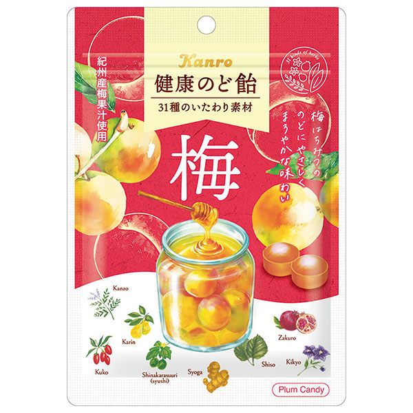 ネコポス カンロ 健康のど飴 梅 90g×6袋入| 全国お菓子 あめ キャンディ 袋 うめ ウメ