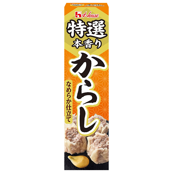 ハウス食品 特選本香り からし 42g×10本入|からし 辛子 チューブ 調味料 特選