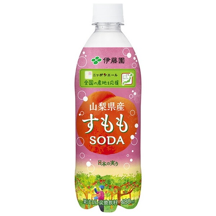 伊藤園 ニッポンエール 山梨県産すももソーダ 480mlペットボトル×24本入|柑橘 フルーツ 果物