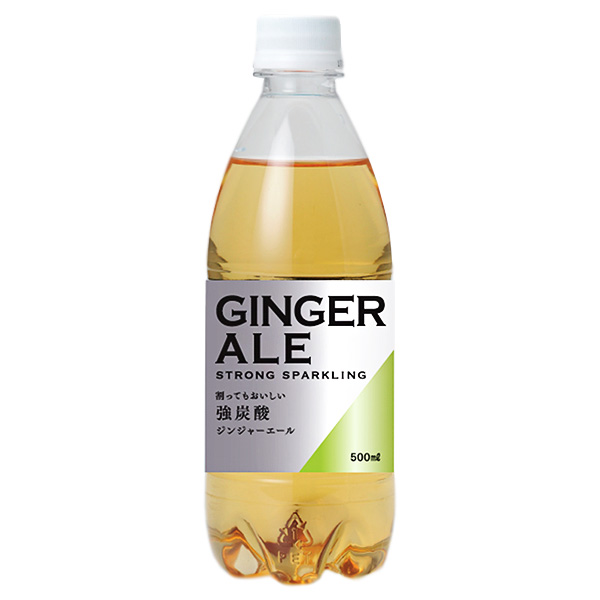 友桝飲料 ジンジャーエール 500mlペットボトル×24本入|炭酸 強炭酸 ジンジャー ショウガ しょうが 割り材