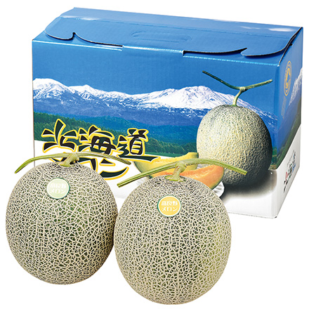 【7月中旬～8月上旬発送】北海道メロン 赤肉青肉セット 優品 約1.6kg 各1玉