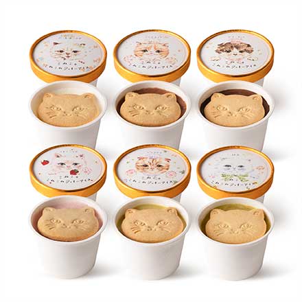 DADACA こねこのこねこねクッキーアイス 6種セット