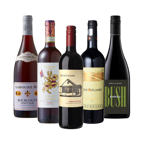 ソムリエお薦め 世界の赤ワイン 5本セット