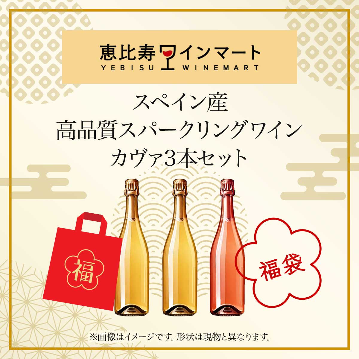 福袋 スペイン産高品質スパークリングワイン カヴァ 生産者飲み比べ 3本セット 1/6以降順次お届け