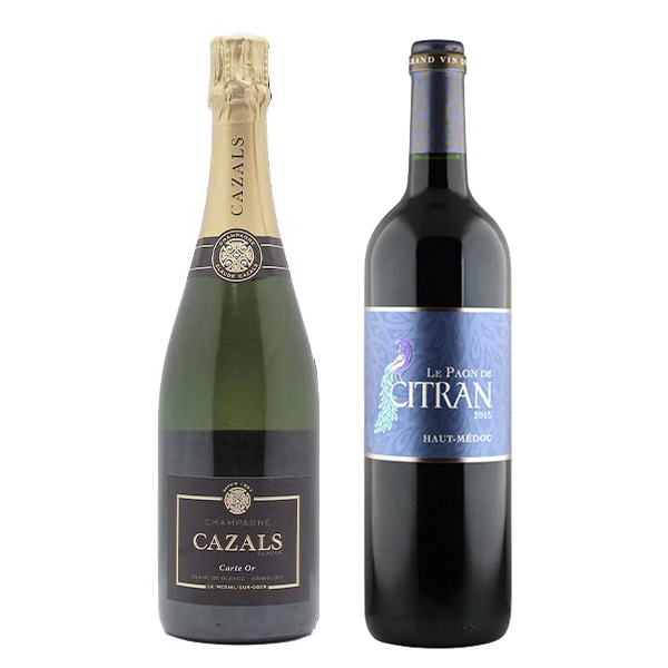 ソムリエ厳選 シャンパーニュ & ボルドー フランスワイン 2本セット