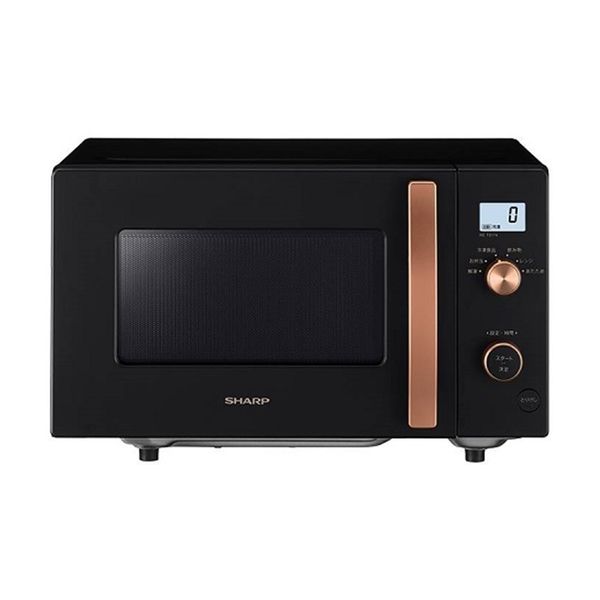 シャープ 電子レンジ 単機能 フラット ヘルツフリー 17L ブラック系 RE-TS174-B